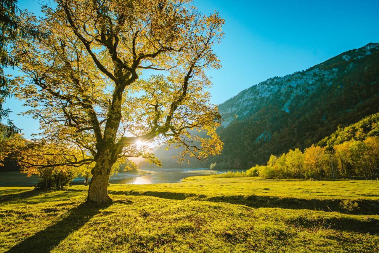 Aja Ruhpolding Ξενοδοχείο Εξωτερικό φωτογραφία